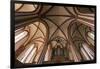 Germany, Mecklenburg-Western Pomerania, Röbel, Nikolaikirche, tree-aisled hall church-Roland T. Frank-Framed Photographic Print