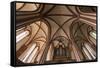 Germany, Mecklenburg-Western Pomerania, Röbel, Nikolaikirche, tree-aisled hall church-Roland T. Frank-Framed Stretched Canvas