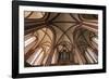 Germany, Mecklenburg-Western Pomerania, Röbel, Nikolaikirche, tree-aisled hall church-Roland T. Frank-Framed Photographic Print