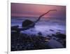 Germany, Mecklenburg-Western Pomerania, the Baltic Sea, RŸgen, Chalk Coast, Shore, Erratic Blocks-Andreas Keil-Framed Photographic Print