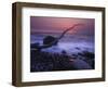 Germany, Mecklenburg-Western Pomerania, the Baltic Sea, RŸgen, Chalk Coast, Shore, Erratic Blocks-Andreas Keil-Framed Photographic Print