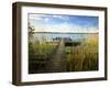 Germany, Mecklenburg-Western Pomerania, Zarrentin-Andreas Vitting-Framed Photographic Print