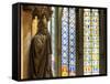 Germany, North Rhine Westphalia, Cologne (Koln), Cathedral Interior-Michele Falzone-Framed Stretched Canvas