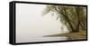 Germany, North Rhine-Westphalia, Cologne, Pastures on the Rhine Shore Beside the Zoo Bridge in Fog-Andreas Keil-Framed Stretched Canvas