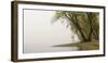 Germany, North Rhine-Westphalia, Cologne, Pastures on the Rhine Shore Beside the Zoo Bridge in Fog-Andreas Keil-Framed Photographic Print