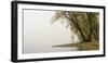 Germany, North Rhine-Westphalia, Cologne, Pastures on the Rhine Shore Beside the Zoo Bridge in Fog-Andreas Keil-Framed Photographic Print