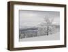 Germany, North Rhine-Westphalia, Hochsauerland, Rothaargebirge, Winterberg-Andreas Keil-Framed Photographic Print