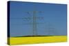 Germany, North Rhine-Westphalia, Ostwestfalen, Rape Field, High-Voltage Poles-Chris Seba-Stretched Canvas