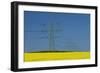 Germany, North Rhine-Westphalia, Ostwestfalen, Rape Field, High-Voltage Poles-Chris Seba-Framed Photographic Print