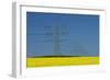 Germany, North Rhine-Westphalia, Ostwestfalen, Rape Field, High-Voltage Poles-Chris Seba-Framed Photographic Print