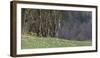 Germany, North Rhine-Westphalia, Rur Eifel (Local Recreation Area-Andreas Keil-Framed Photographic Print