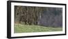 Germany, North Rhine-Westphalia, Rur Eifel (Local Recreation Area-Andreas Keil-Framed Photographic Print