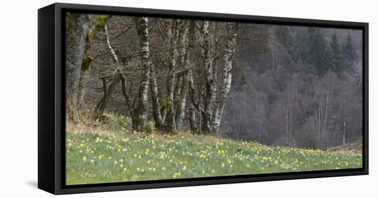 Germany, North Rhine-Westphalia, Rur Eifel (Local Recreation Area-Andreas Keil-Framed Stretched Canvas