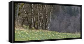 Germany, North Rhine-Westphalia, Rur Eifel (Local Recreation Area-Andreas Keil-Framed Stretched Canvas