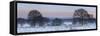 Germany, North Rhine-Westphalia, Wahner Heide, View from the Telegrafenberg in Winter at Sunrise-Andreas Keil-Framed Stretched Canvas