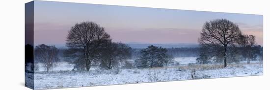 Germany, North Rhine-Westphalia, Wahner Heide, View from the Telegrafenberg in Winter at Sunrise-Andreas Keil-Stretched Canvas