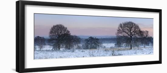 Germany, North Rhine-Westphalia, Wahner Heide, View from the Telegrafenberg in Winter at Sunrise-Andreas Keil-Framed Photographic Print