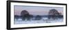 Germany, North Rhine-Westphalia, Wahner Heide, View from the Telegrafenberg in Winter at Sunrise-Andreas Keil-Framed Photographic Print