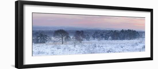 Germany, North Rhine-Westphalia, Wahner Heide, View from the Telegrafenberg in Winter at Sunrise-Andreas Keil-Framed Photographic Print