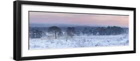 Germany, North Rhine-Westphalia, Wahner Heide, View from the Telegrafenberg in Winter at Sunrise-Andreas Keil-Framed Photographic Print