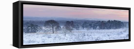 Germany, North Rhine-Westphalia, Wahner Heide, View from the Telegrafenberg in Winter at Sunrise-Andreas Keil-Framed Stretched Canvas