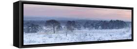 Germany, North Rhine-Westphalia, Wahner Heide, View from the Telegrafenberg in Winter at Sunrise-Andreas Keil-Framed Stretched Canvas