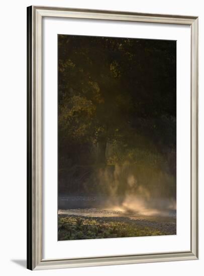 Germany, North Rhine-Westphalia, Wahner Moor, Meadow Agger, River with Morning Fog and Backlight-Andreas Keil-Framed Photographic Print