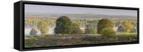 Germany, North Rhine-Westphalia, Wahner Moor, View from the Telegraph Mountain in Autumn-Andreas Keil-Framed Stretched Canvas