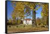 Germany, Ostwestfalen-Lippe, Schieder Castle, Castle Grounds, Autumn-Chris Seba-Framed Stretched Canvas