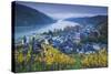 Germany, Rheinland-Pfalz, Bacharach, Elevated Town View, Autumn-Walter Bibikow-Stretched Canvas