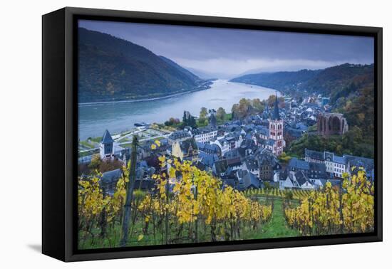 Germany, Rheinland-Pfalz, Bacharach, Elevated Town View, Autumn-Walter Bibikow-Framed Stretched Canvas