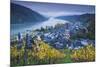 Germany, Rheinland-Pfalz, Bacharach, Elevated Town View, Autumn-Walter Bibikow-Mounted Photographic Print