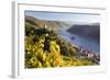 Germany, Rheinland-Pfalz, Pfalzgrafenstein and Gutenfels Castles-Peter Adams-Framed Photographic Print