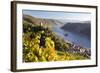 Germany, Rheinland-Pfalz, Pfalzgrafenstein and Gutenfels Castles-Peter Adams-Framed Photographic Print