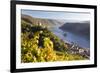 Germany, Rheinland-Pfalz, Pfalzgrafenstein and Gutenfels Castles-Peter Adams-Framed Photographic Print