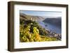 Germany, Rheinland-Pfalz, Pfalzgrafenstein and Gutenfels Castles-Peter Adams-Framed Photographic Print