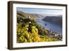 Germany, Rheinland-Pfalz, Pfalzgrafenstein and Gutenfels Castles-Peter Adams-Framed Photographic Print