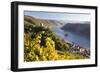 Germany, Rheinland-Pfalz, Pfalzgrafenstein and Gutenfels Castles-Peter Adams-Framed Photographic Print