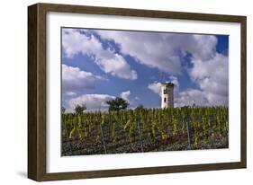 Germany, Rheinland-Pfalz, Rheinhessen (Region), Nierstein (Village), Lookout-Udo Siebig-Framed Photographic Print