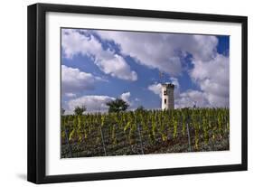 Germany, Rheinland-Pfalz, Rheinhessen (Region), Nierstein (Village), Lookout-Udo Siebig-Framed Photographic Print