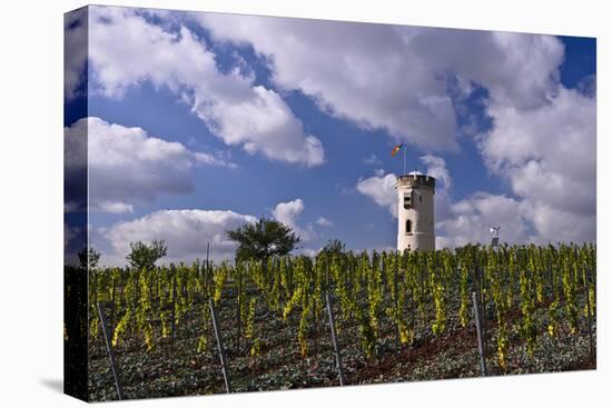 Germany, Rheinland-Pfalz, Rheinhessen (Region), Nierstein (Village), Lookout-Udo Siebig-Stretched Canvas