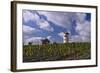 Germany, Rheinland-Pfalz, Rheinhessen (Region), Nierstein (Village), Lookout-Udo Siebig-Framed Photographic Print