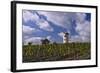 Germany, Rheinland-Pfalz, Rheinhessen (Region), Nierstein (Village), Lookout-Udo Siebig-Framed Photographic Print