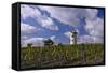 Germany, Rheinland-Pfalz, Rheinhessen (Region), Nierstein (Village), Lookout-Udo Siebig-Framed Stretched Canvas