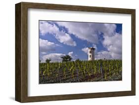 Germany, Rheinland-Pfalz, Rheinhessen (Region), Nierstein (Village), Lookout-Udo Siebig-Framed Photographic Print