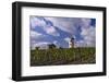 Germany, Rheinland-Pfalz, Rheinhessen (Region), Nierstein (Village), Lookout-Udo Siebig-Framed Photographic Print