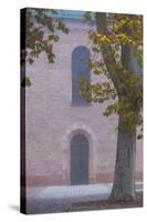 Germany, Rheinland-Pfalz, Speyer, Domgarten, Cathedral Park, Fog-Walter Bibikow-Stretched Canvas