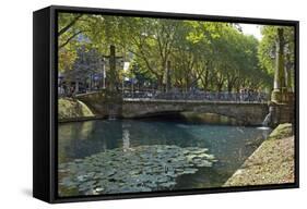 Germany, Rhineland, Dusseldorf, Kšnigsallee-Chris Seba-Framed Stretched Canvas