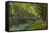 Germany, Rhineland, Dusseldorf, Kšnigsallee-Chris Seba-Framed Stretched Canvas