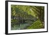 Germany, Rhineland, Dusseldorf, Kšnigsallee-Chris Seba-Framed Photographic Print